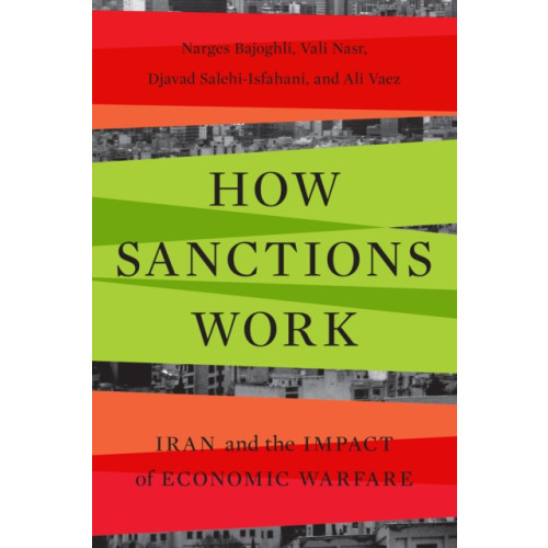 Stanford university press How Sanctions Work (häftad, eng)