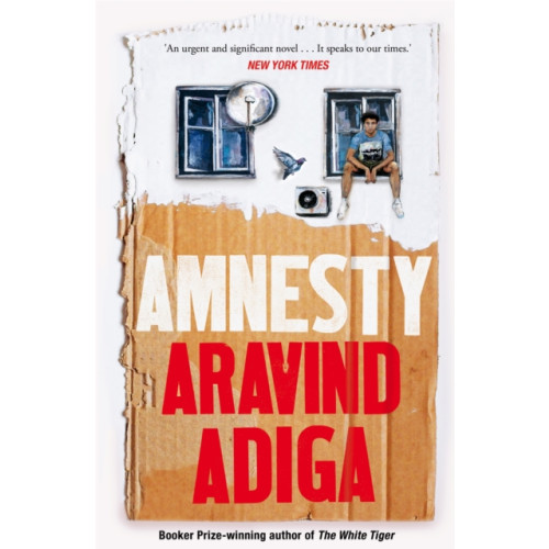 Pan Macmillan Amnesty (häftad, eng)