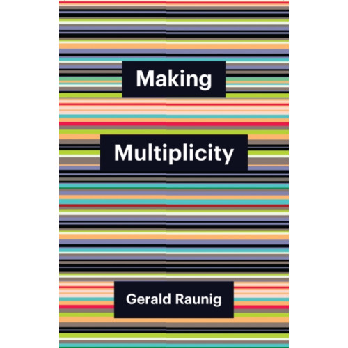 John Wiley And Sons Ltd Making Multiplicity (häftad, eng)