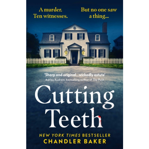 Vintage Publishing Cutting Teeth (häftad, eng)