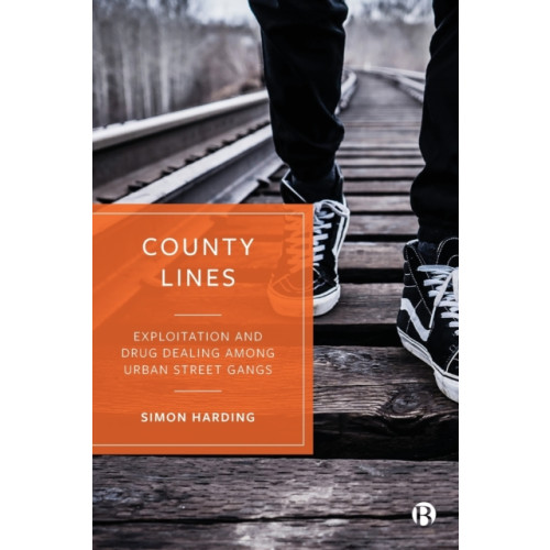 Bristol University Press County Lines (häftad, eng)