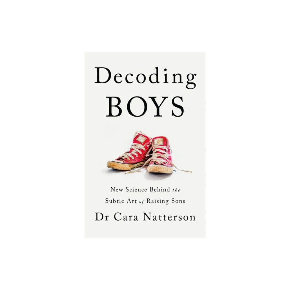Produktbild för Decoding Boys (häftad, eng)