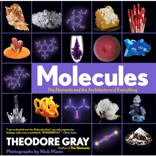 Black Dog & Leventhal Publishers Inc Molecules (inbunden, eng)