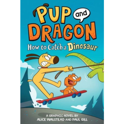 Sourcebooks, Inc How to Catch Graphic Novels: How to Catch a Dinosaur (inbunden, eng)