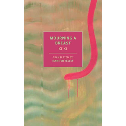 New York Review Books Mourning a Breast (häftad, eng)
