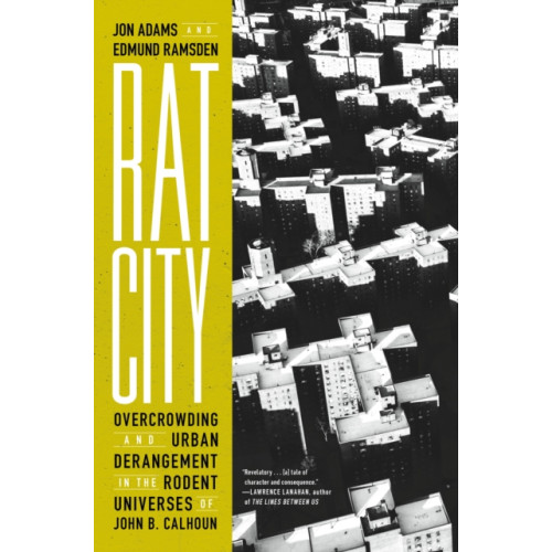 Melville House Publishing Rat City (inbunden, eng)