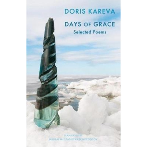 Bloodaxe Books Ltd Days of Grace (häftad, eng)