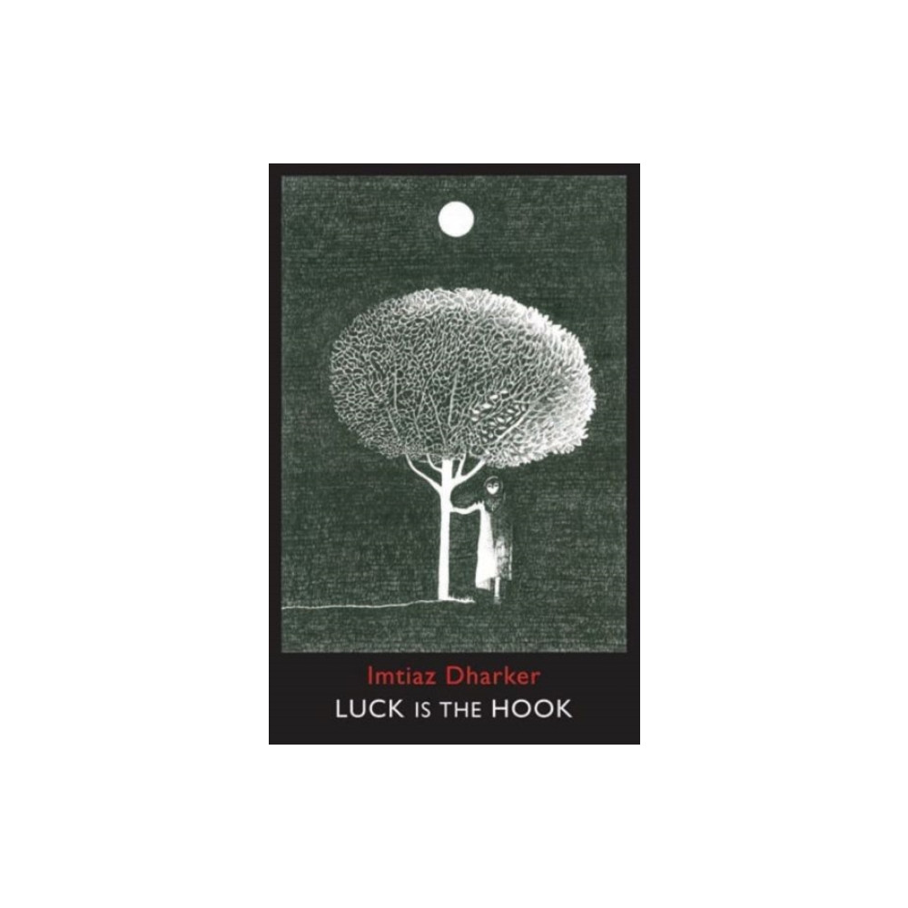 Produktbild för Luck is the Hook (häftad, eng)
