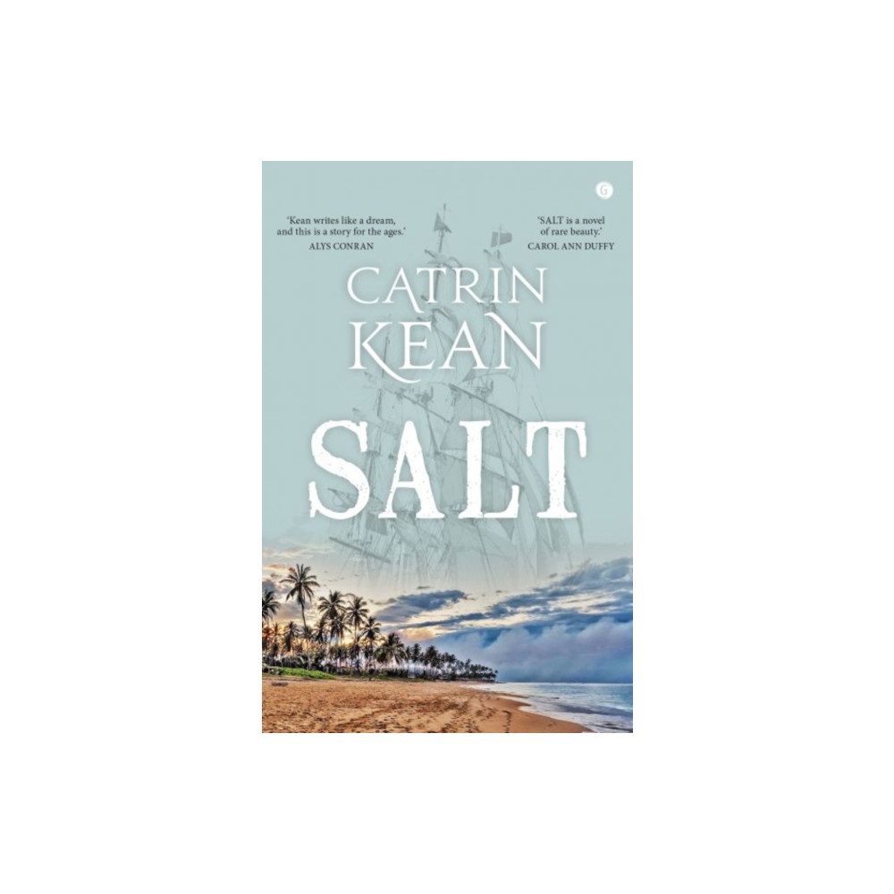 Produktbild för Salt (häftad, eng)