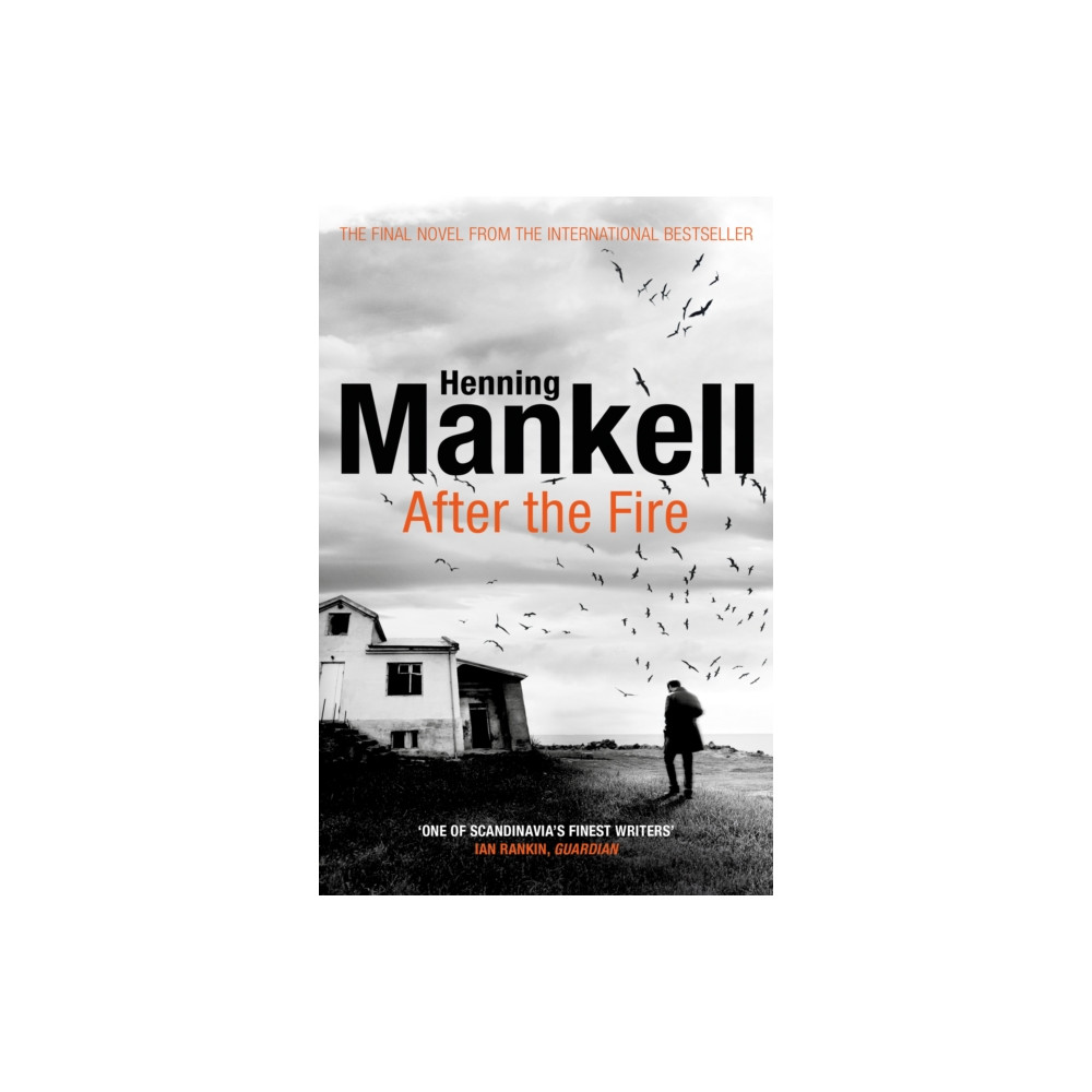 Produktbild för After the Fire (häftad, eng)