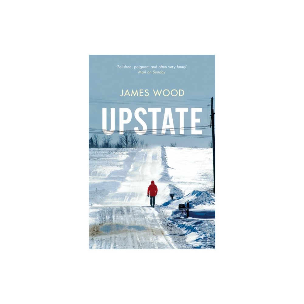 Produktbild för Upstate (häftad, eng)
