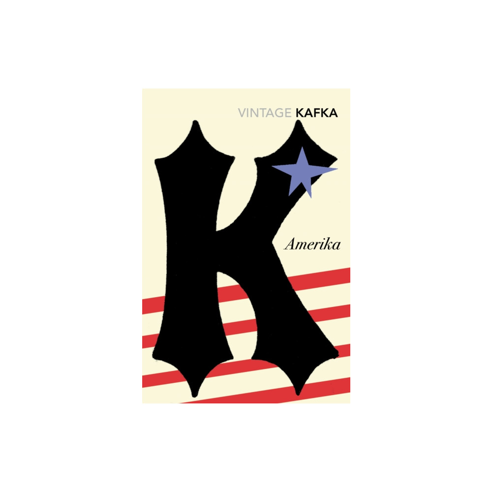 Produktbild för Amerika (häftad, eng)