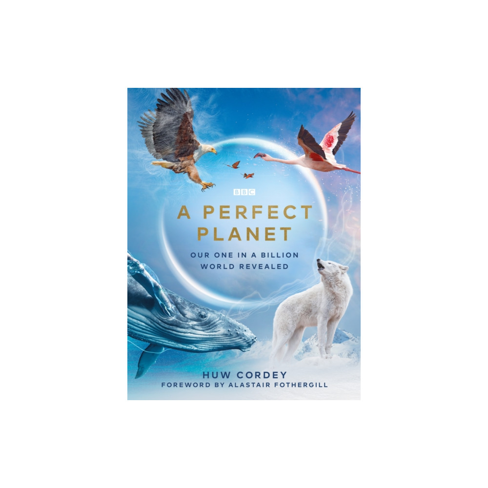 Produktbild för A Perfect Planet (inbunden, eng)