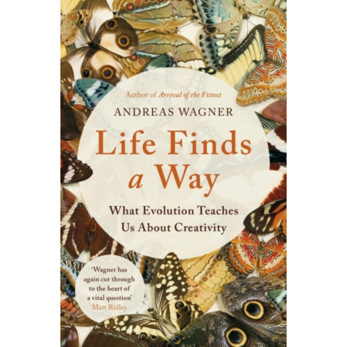 Oneworld Publications Life Finds a Way (häftad, eng)