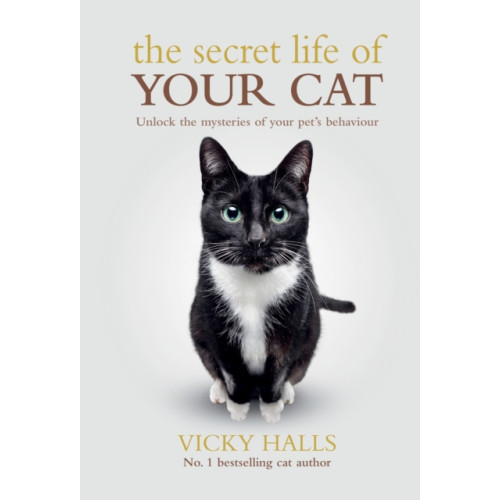 Octopus publishing group The Secret Life Of Your Cat (häftad, eng)