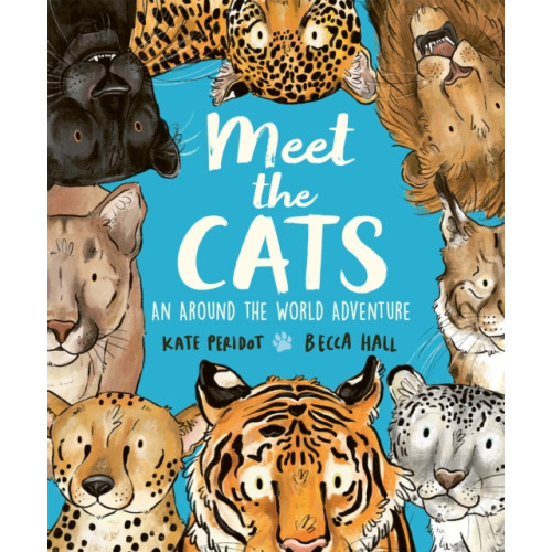 Hachette Children's Group Meet the Cats (inbunden, eng)