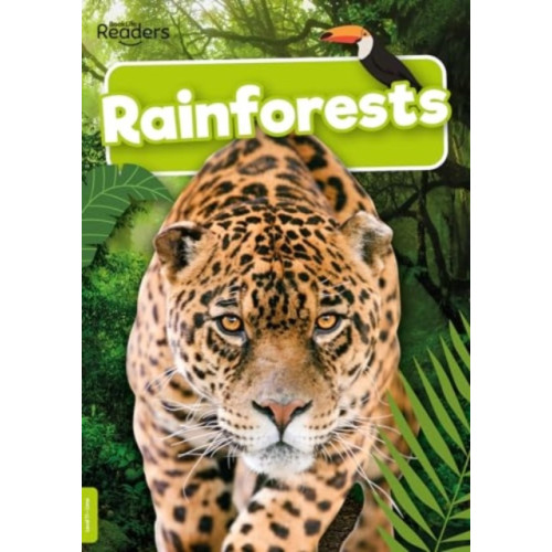 BookLife Publishing Rainforests (häftad, eng)