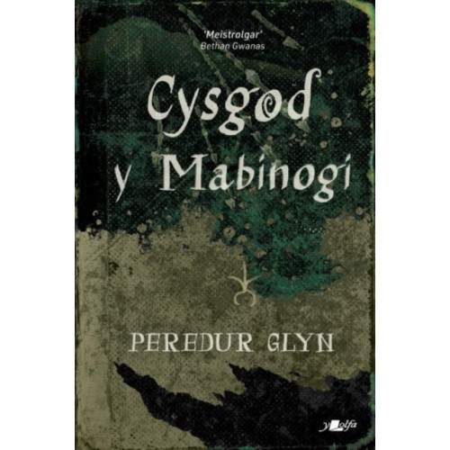 Y Lolfa Cysgod y Mabinogi (häftad, wel)