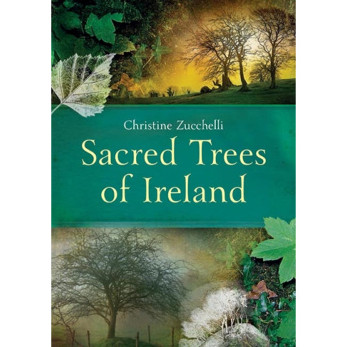 Gill Sacred Trees of Ireland (häftad, eng)