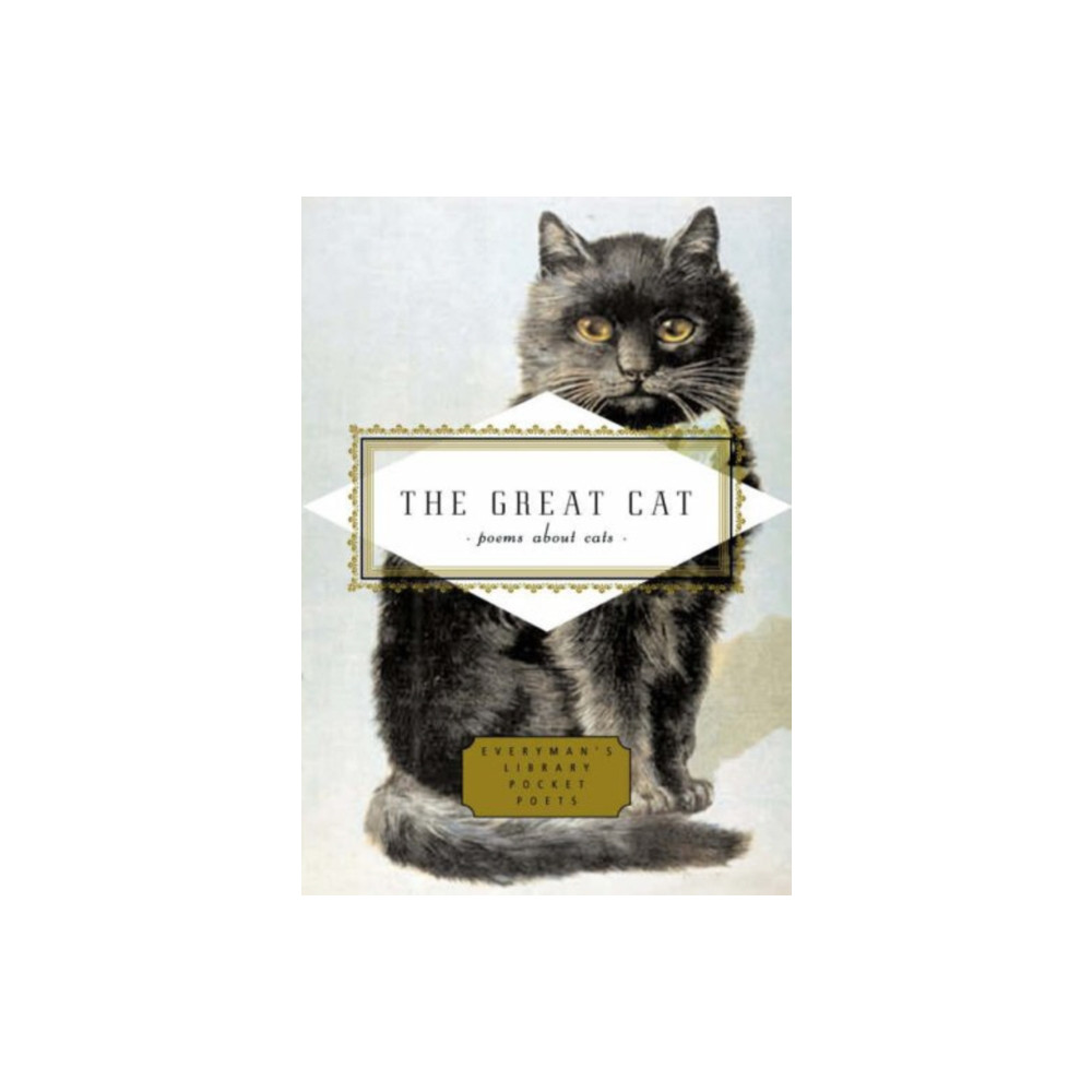 Produktbild för The Great Cat (inbunden, eng)