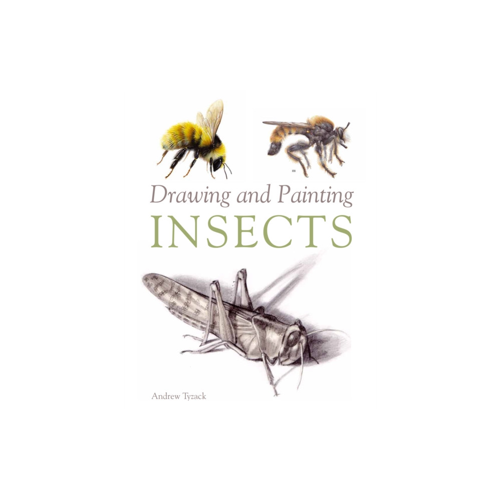 Produktbild för Drawing and Painting Insects (häftad, eng)