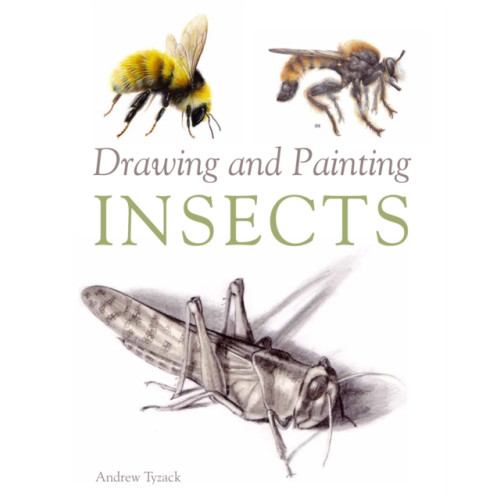 The Crowood Press Ltd Drawing and Painting Insects (häftad, eng)