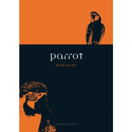 Reaktion Books Parrot (häftad, eng)