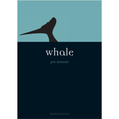 Reaktion Books Whale (häftad, eng)