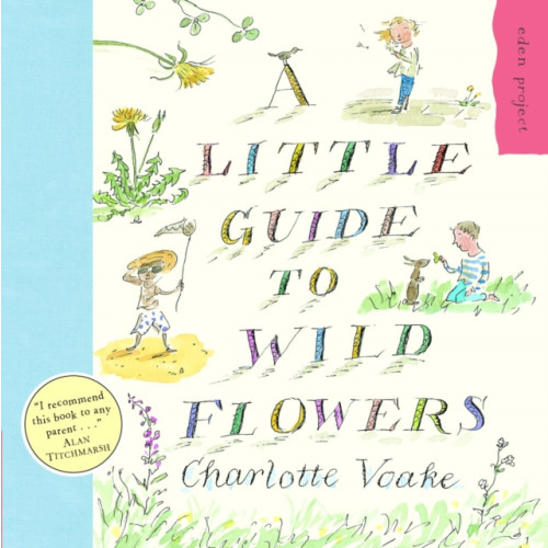 Penguin Random House Children's UK A Little Guide To Wild Flowers (häftad, eng)