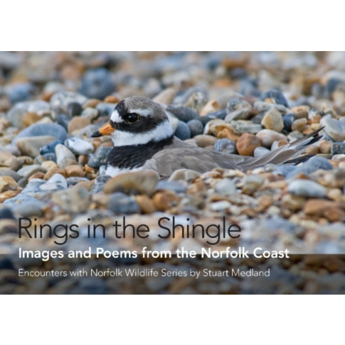 Brambleby Books Rings in the Shingle (inbunden, eng)