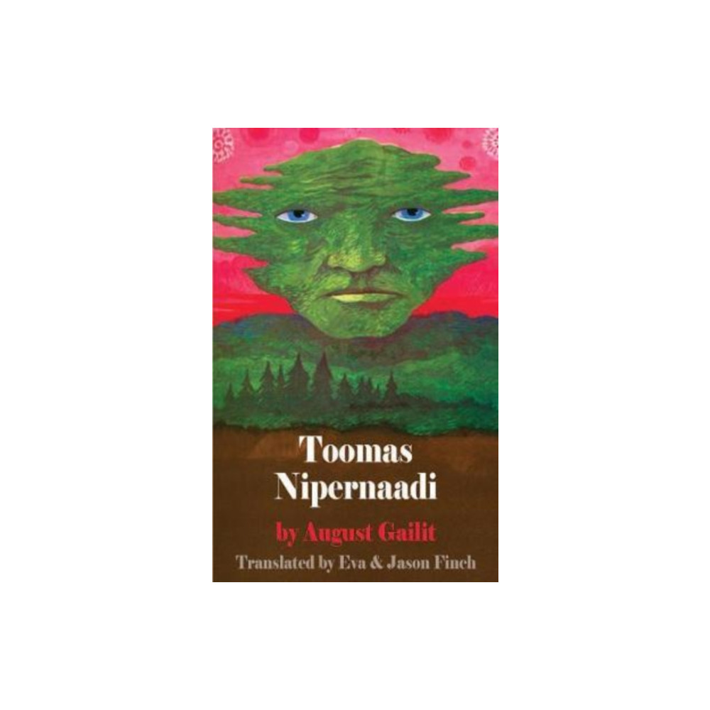 Produktbild för T Toomas Nipernaadi (häftad, eng)