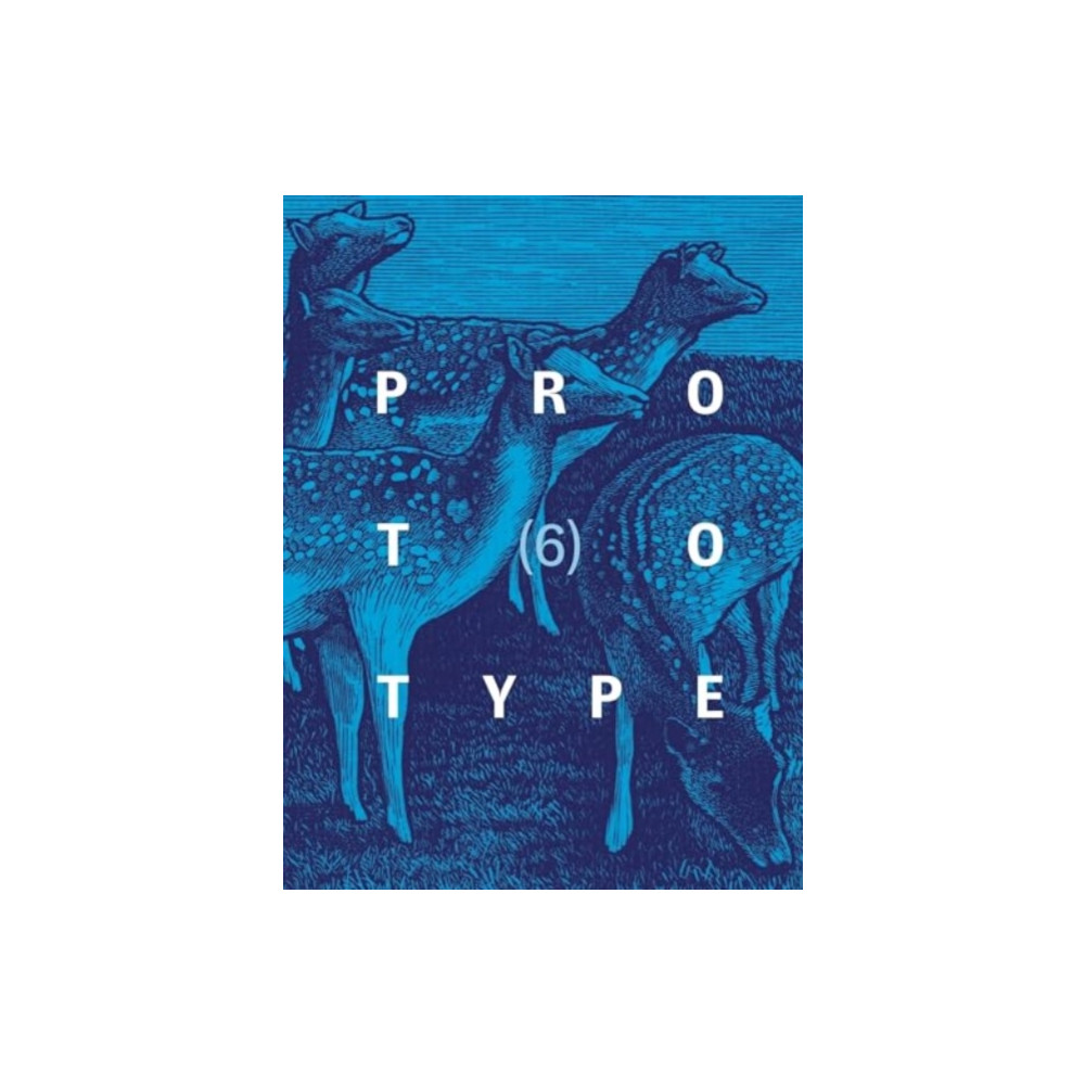 Produktbild för PROTOTYPE 6 (häftad, eng)