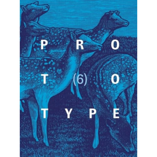 Prototype Publishing Ltd. PROTOTYPE 6 (häftad, eng)