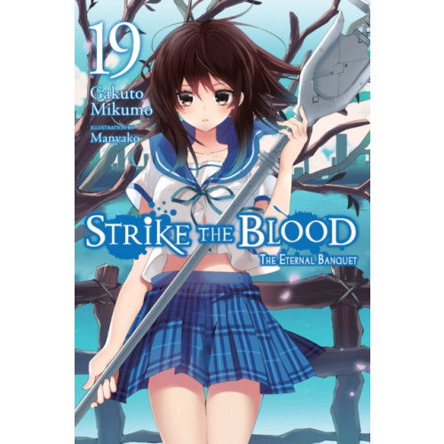 Little, Brown & Company Strike the Blood, Vol. 19 (light novel) (häftad, eng)