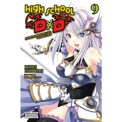 Little, Brown & Company High School DxD, Vol. 9 (light novel) (häftad, eng)