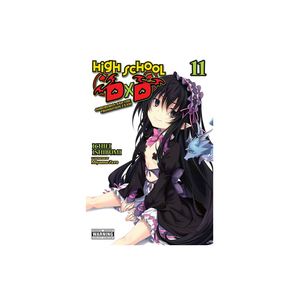 Produktbild för High School DxD, Vol. 11 (light novel) (häftad, eng)