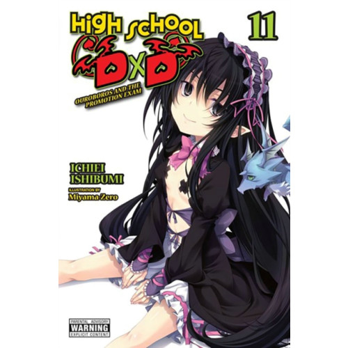 Little, Brown & Company High School DxD, Vol. 11 (light novel) (häftad, eng)
