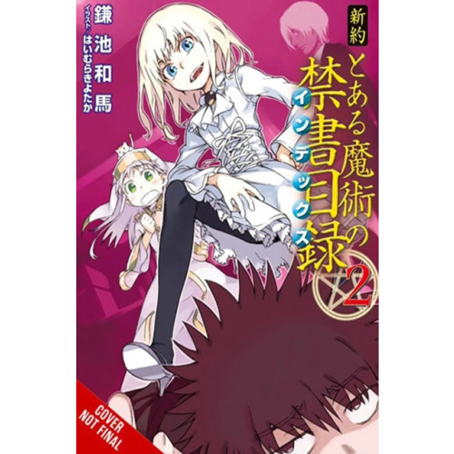 Little, Brown & Company A Certain Magical Index NT, Vol. 2 (light novel) (häftad, eng)