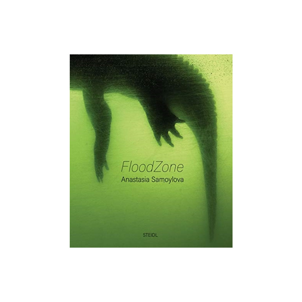 Produktbild för Anastasia Samoylova: FloodZone (inbunden, eng)