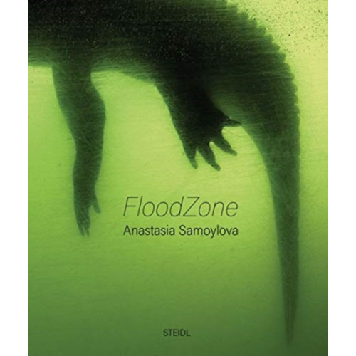 Steidl Publishers Anastasia Samoylova: FloodZone (inbunden, eng)