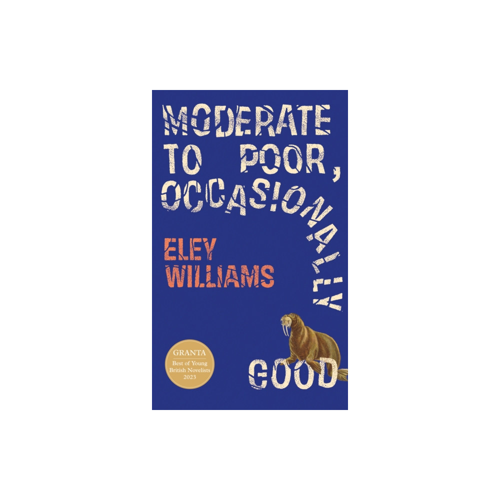 Produktbild för Moderate to Poor, Occasionally Good (inbunden, eng)