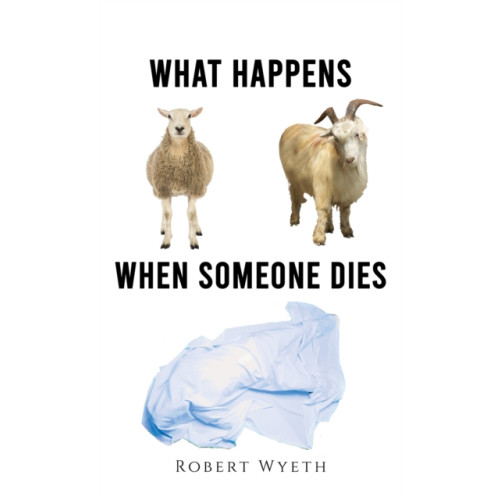 Austin Macauley Publishers What Happens When Someone Dies (häftad, eng)