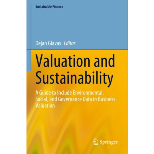 Springer International Publishing AG Valuation and Sustainability (häftad, eng)