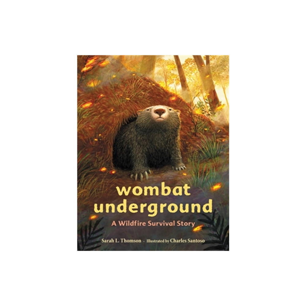 Produktbild för Wombat Underground (inbunden, eng)