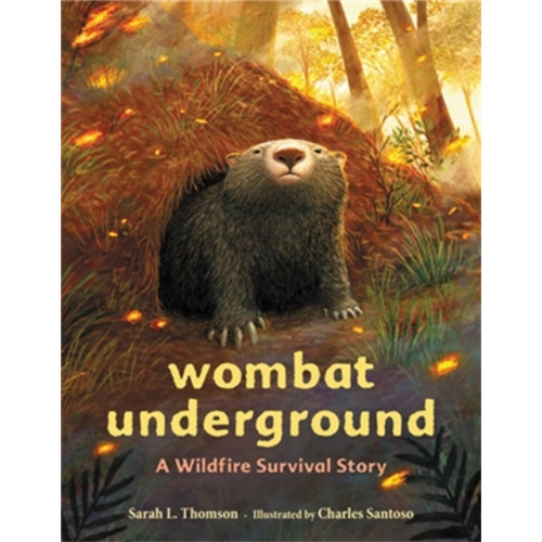 Little, Brown & Company Wombat Underground (inbunden, eng)