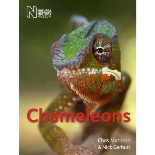 The Natural History Museum Chameleons (häftad, eng)