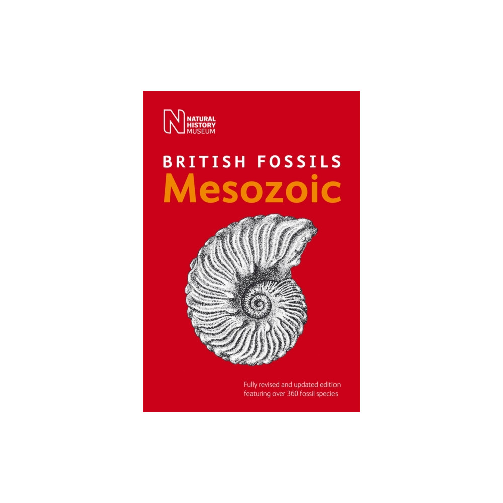 Produktbild för British Mesozoic Fossils (häftad, eng)