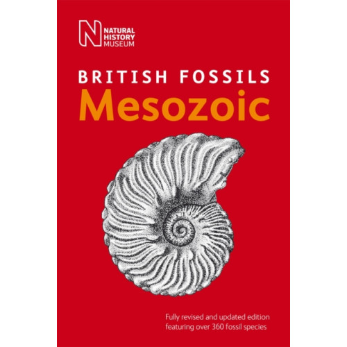 The Natural History Museum British Mesozoic Fossils (häftad, eng)