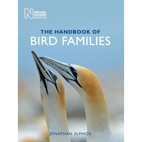 The Natural History Museum The Handbook of Bird Families (häftad, eng)