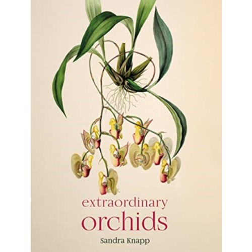 The Natural History Museum Extraordinary Orchids (inbunden, eng)